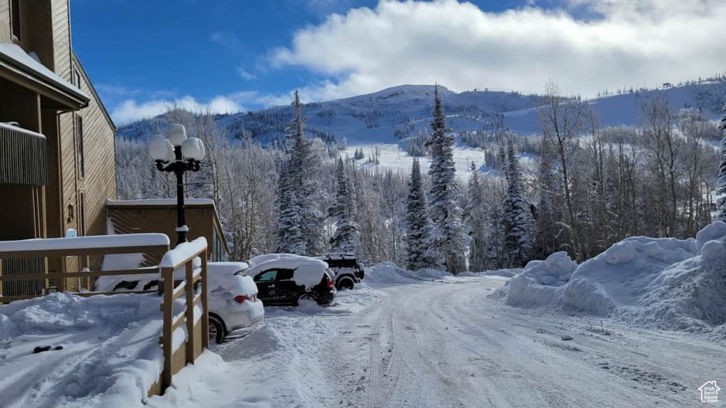 226 S Highway 143 #J-3, Brian Head, Utah image 37