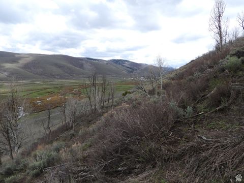 Tiny photo for Scofield, UT 84526 (MLS # 2082760)