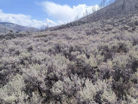 Tiny photo for Scofield, UT 84526 (MLS # 2082760)