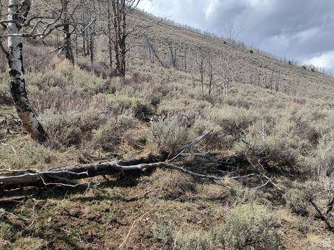 Tiny photo for Scofield, UT 84526 (MLS # 2082760)