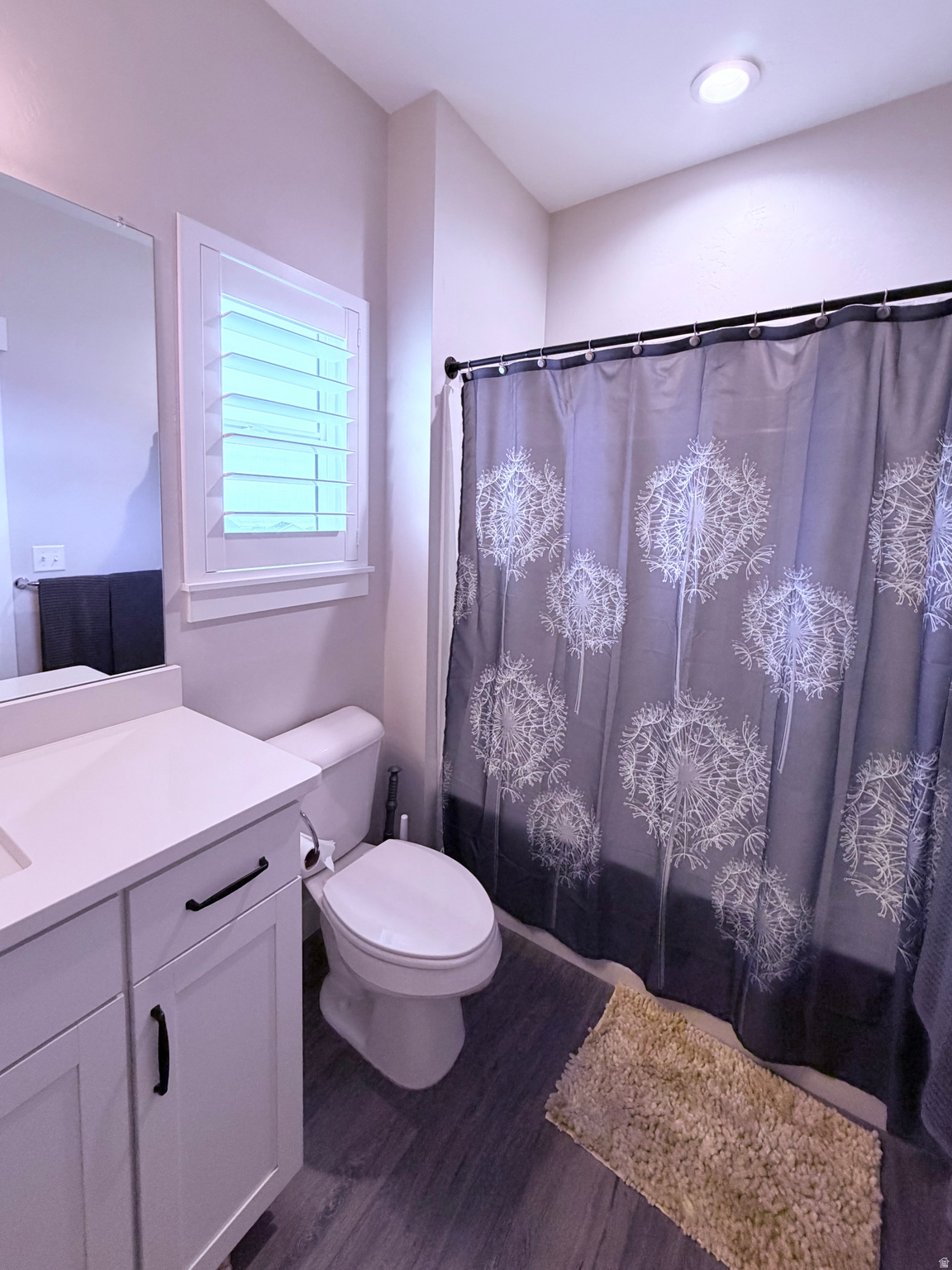 THE VILLAGE OF FOX HOLLOW - Residential