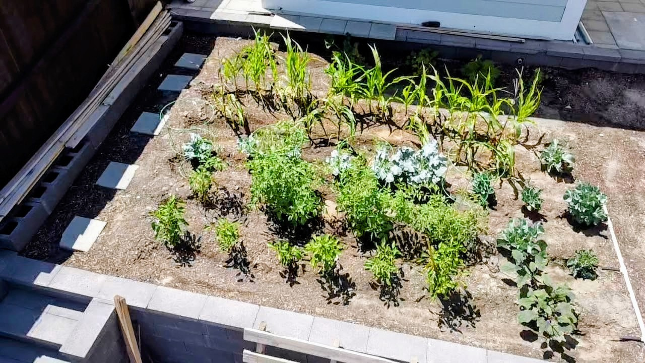 THE VILLAGE OF FOX HOLLOW - Residential