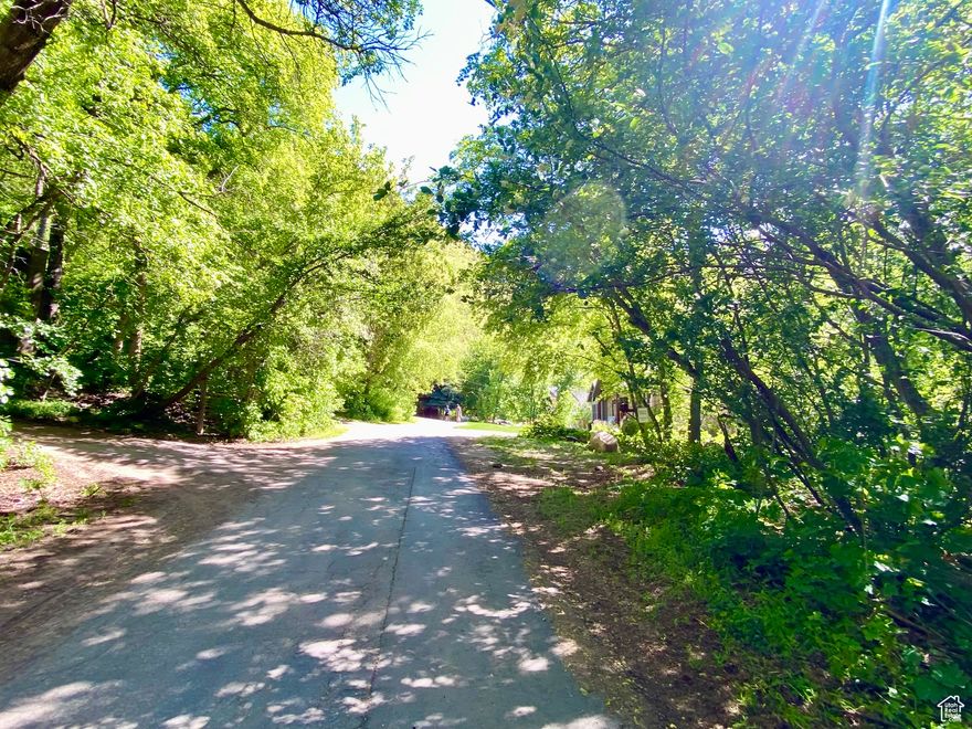 Great wooded lot a stones throw from beautiful Hobble Creek Golf Course. For those looking for a place to build that is so close to the city but feels hours away, look no further. In speaking with Utah County planning, they have suggested that owners of this community have requested and received variances for set backs, which if pursued may increase the building envelope. One of the last remaining lots for this picturesque setting.