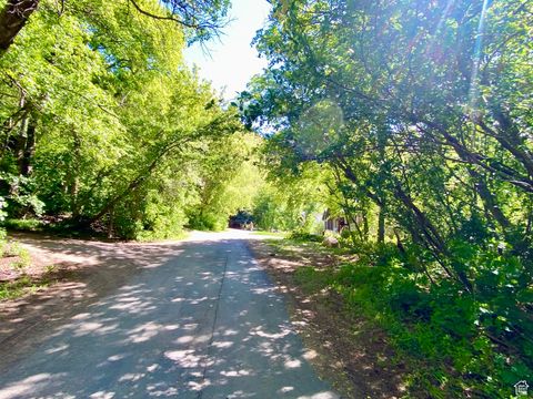 Photo of KELLYS DR #22, Springville, UT 84663 (MLS # 2081285)