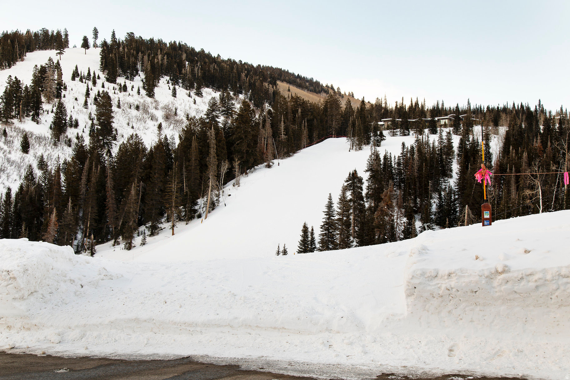 COLONY AT WHITE PINE CANYON - Land