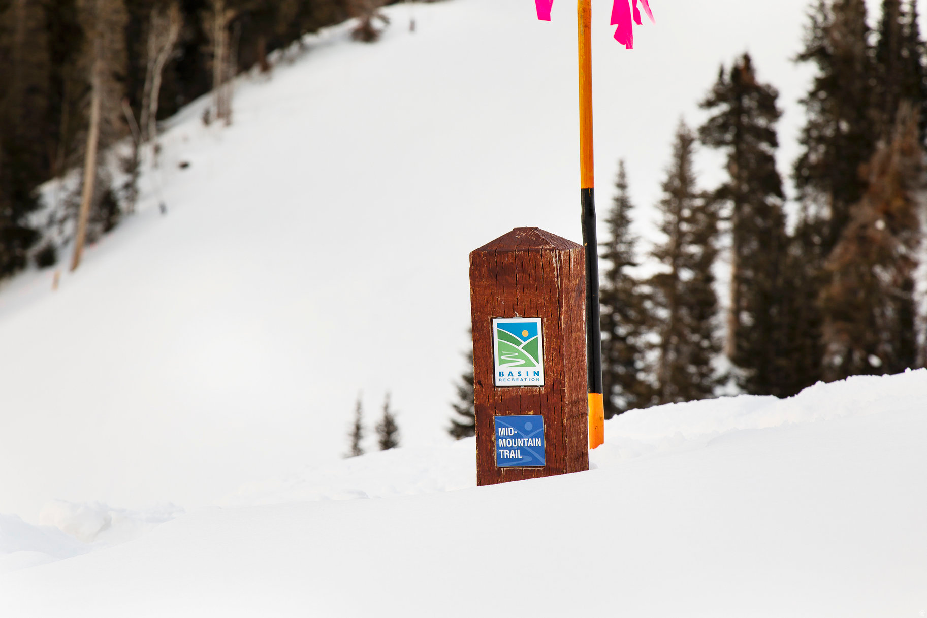 COLONY AT WHITE PINE CANYON - Land