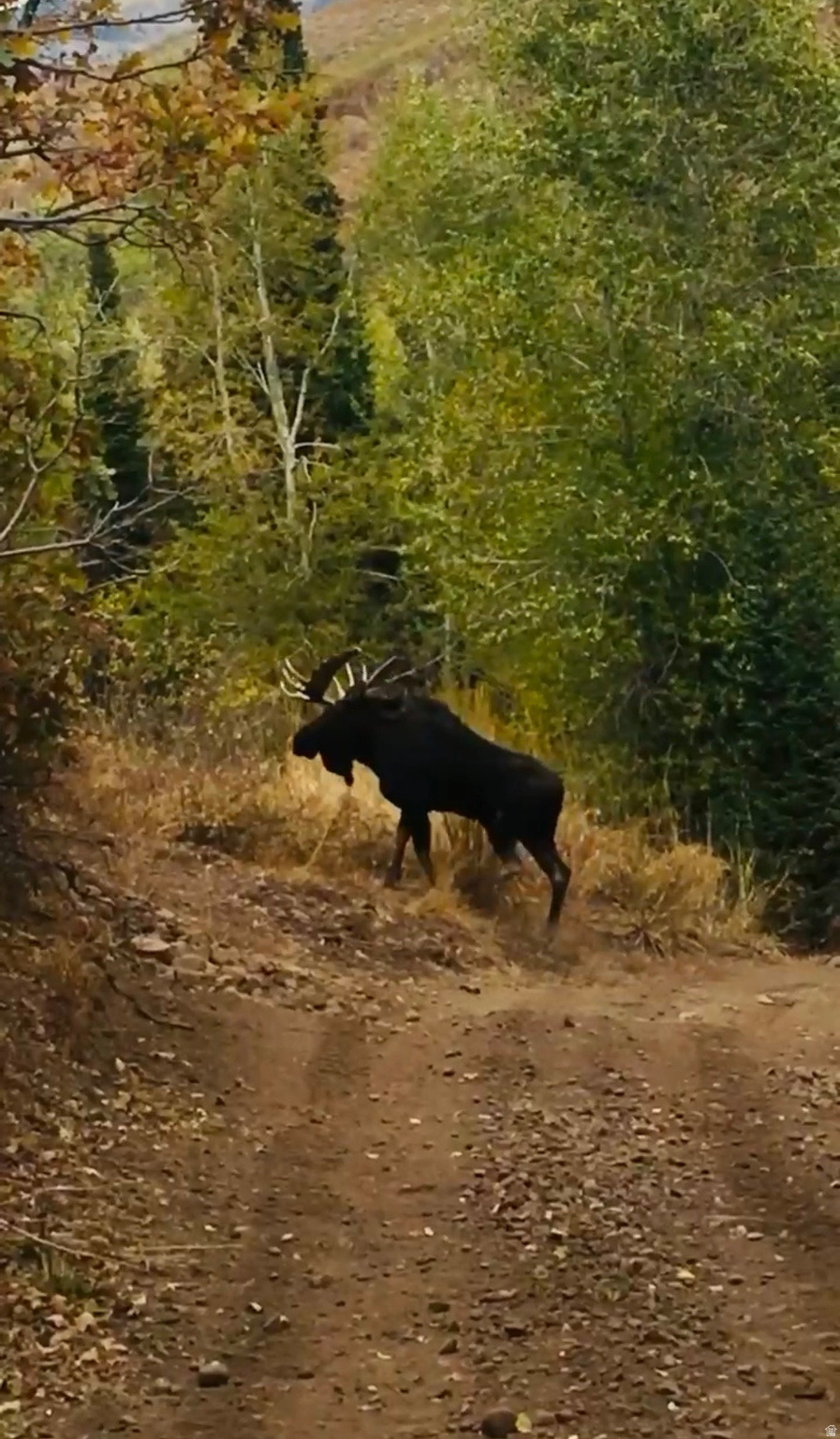 CAUSEY ESTATES - Residential