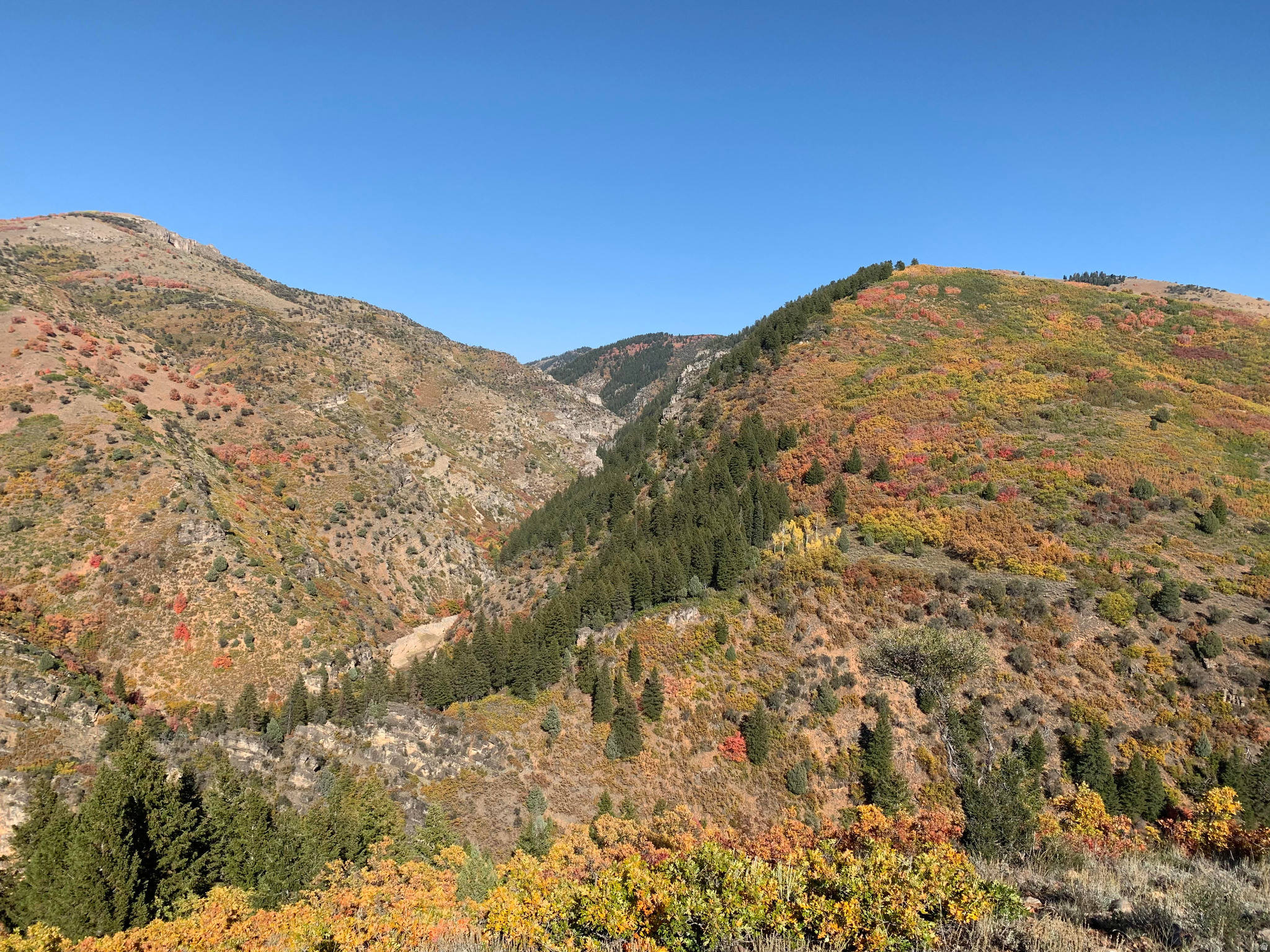 CAUSEY ESTATES - Residential