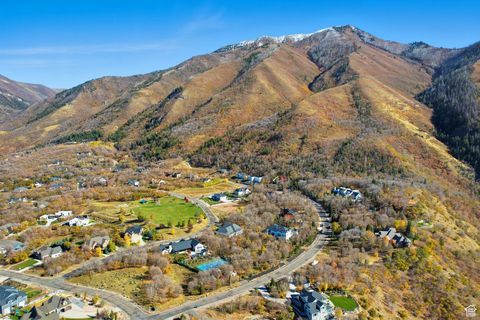 Tiny photo for 1265 S EAGLE NEST DR, Woodland Hills, UT 84653 (MLS # 2118715)