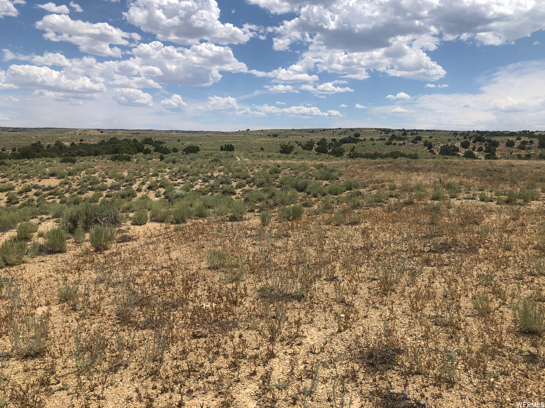 MOONDANCE RANCH - Land