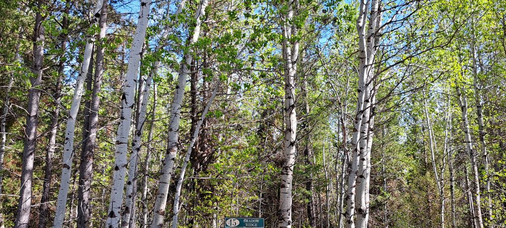 Photo of 4376 GRANITE RDG, Ashton, ID 83420 (MLS # 2141752)