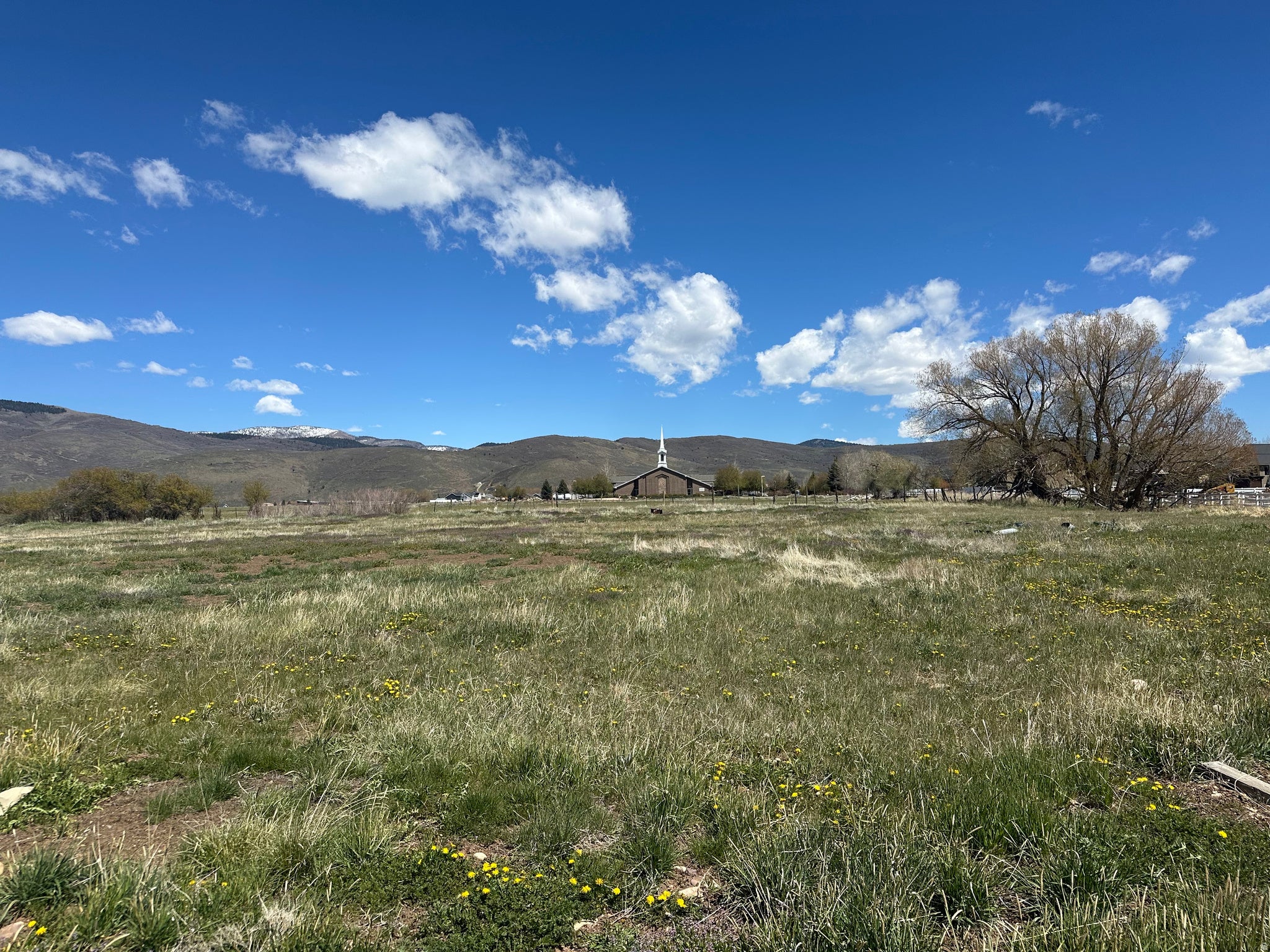 WILD WILLOW SUB - Land