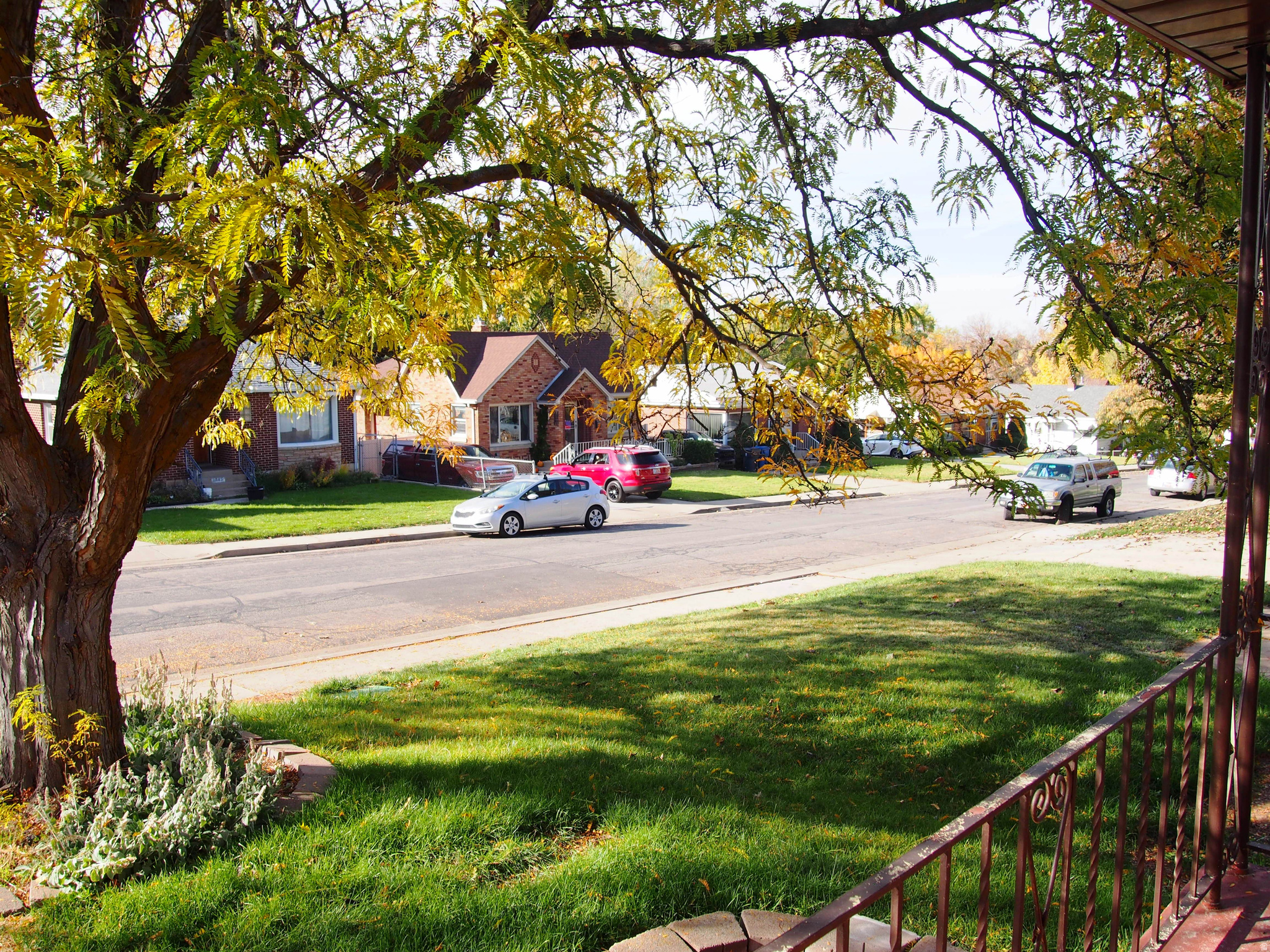 STEPHENS SUBDIVISION - Residential