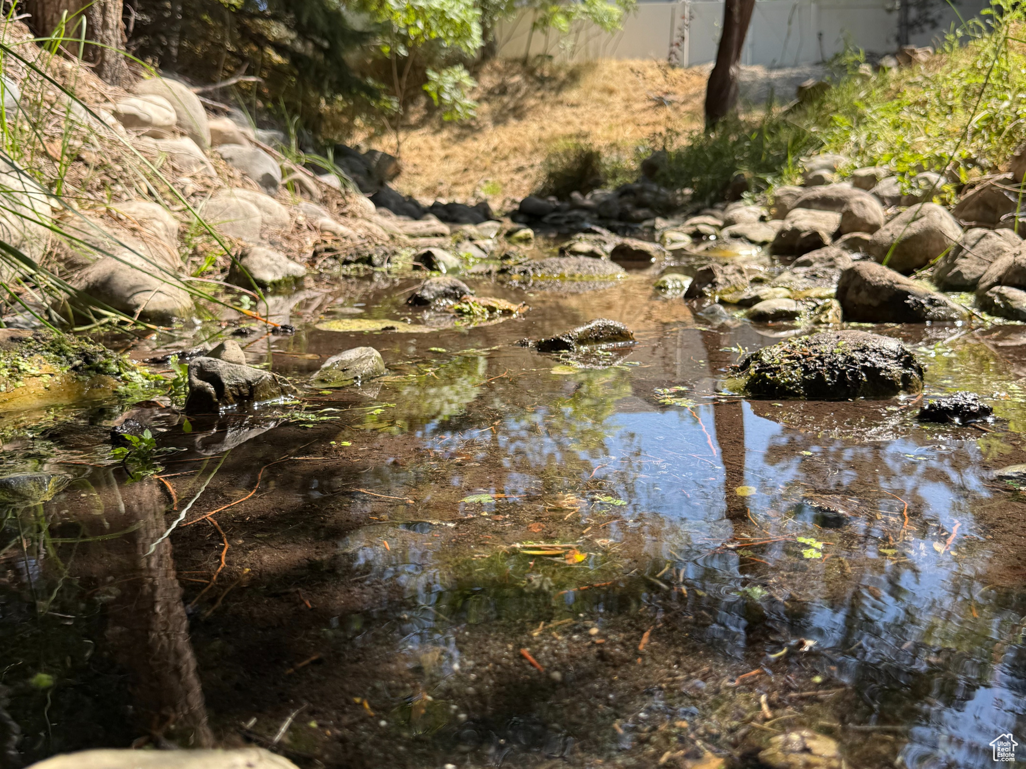 TEMPLE SPRINGS - Residential