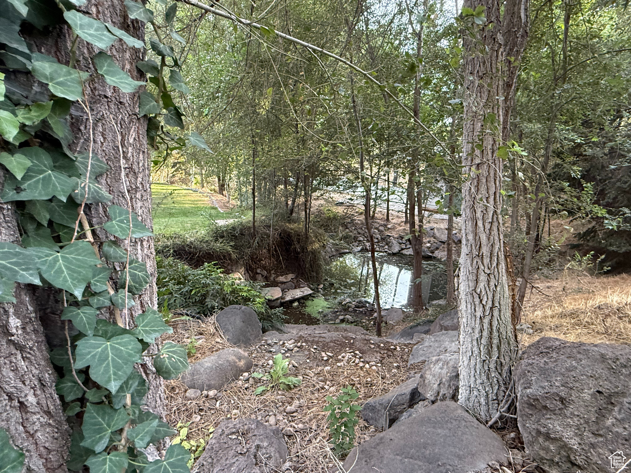 TEMPLE SPRINGS - Residential