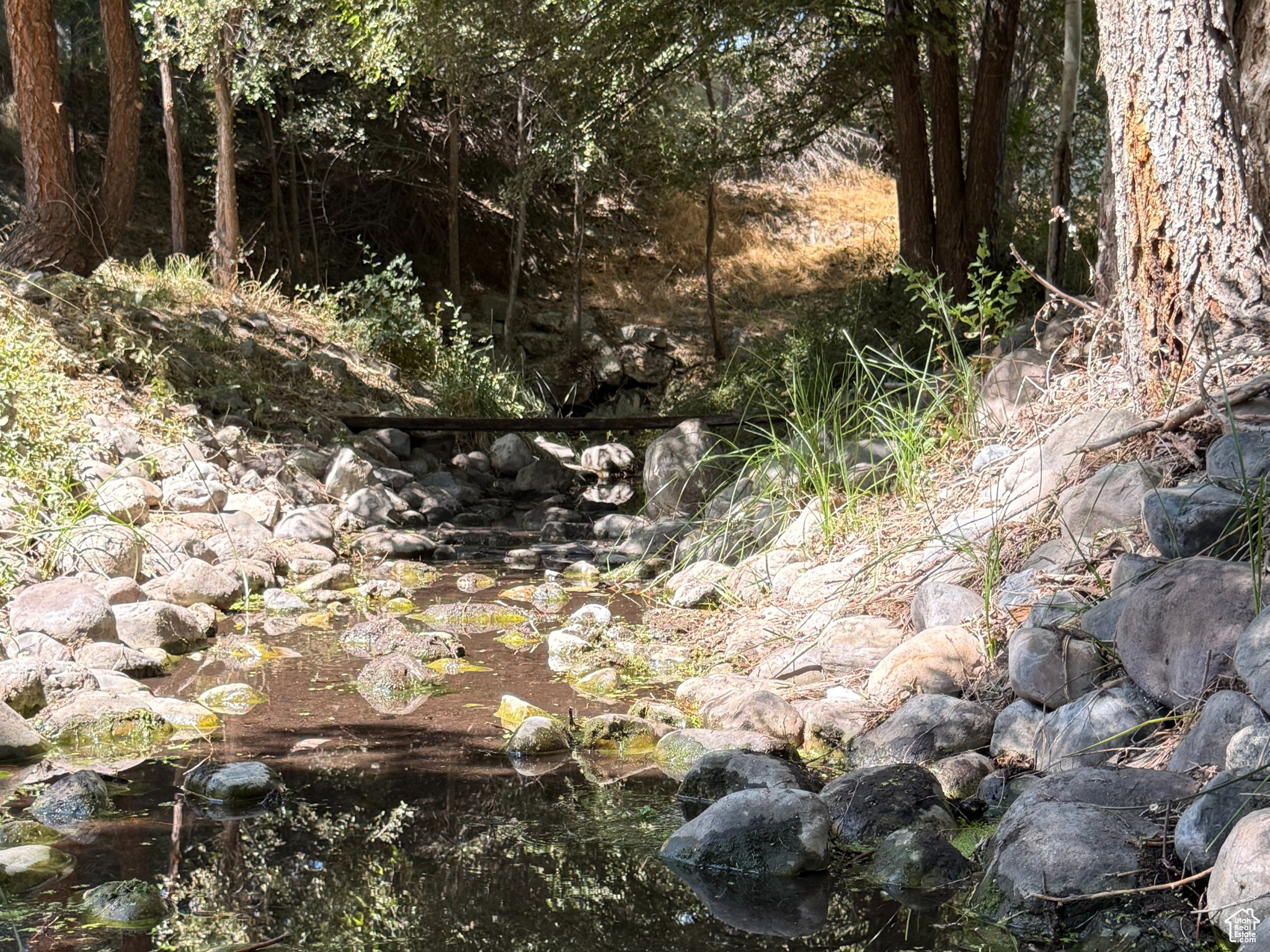 TEMPLE SPRINGS - Residential