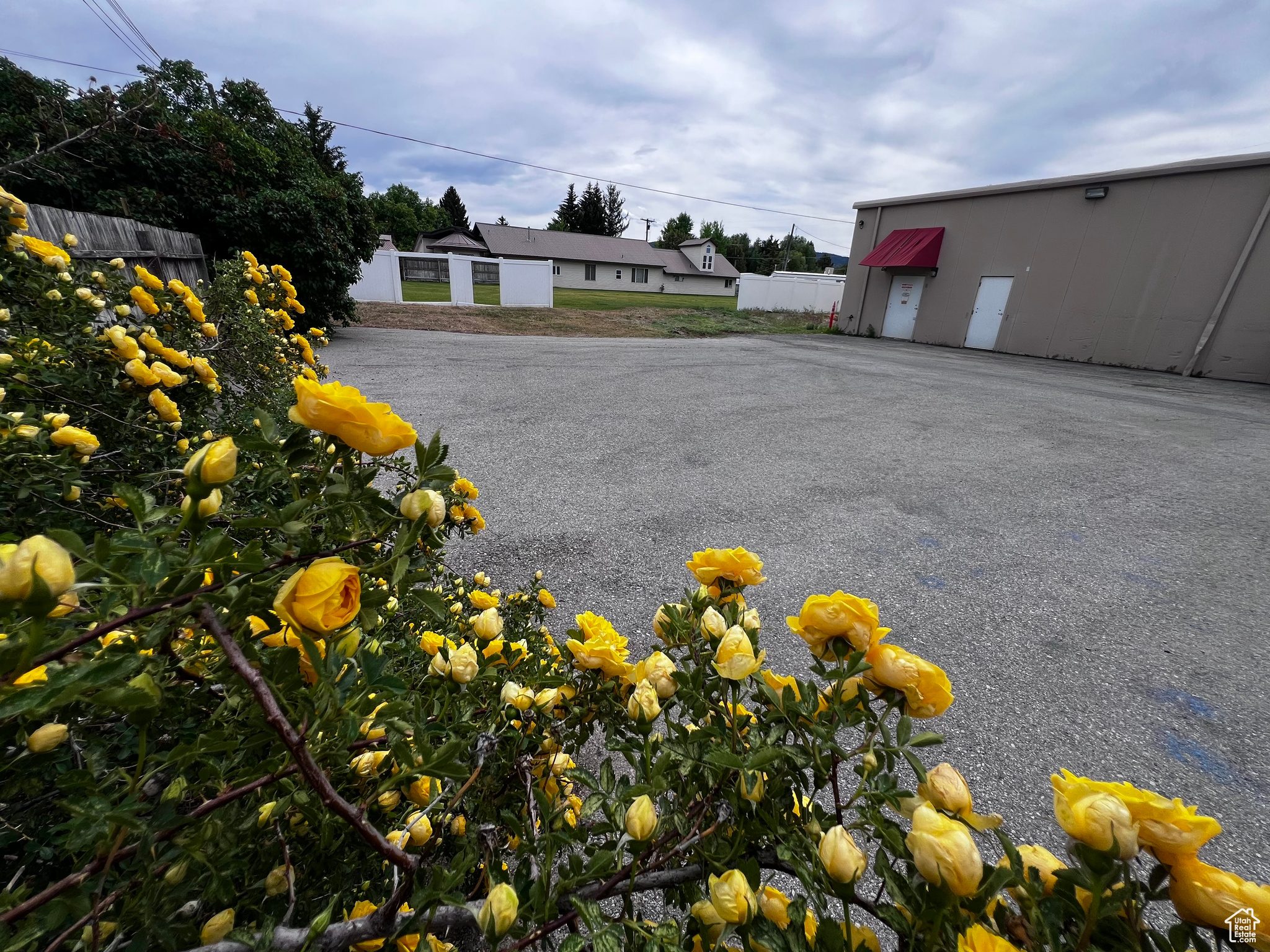 SODA CITY - Commercial Sale