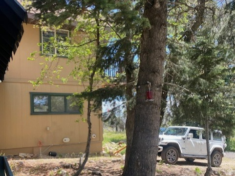 FOREST MEADOW RANCH - Residential