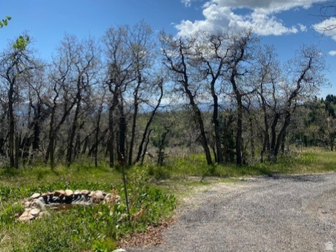 FOREST MEADOW RANCH - Residential