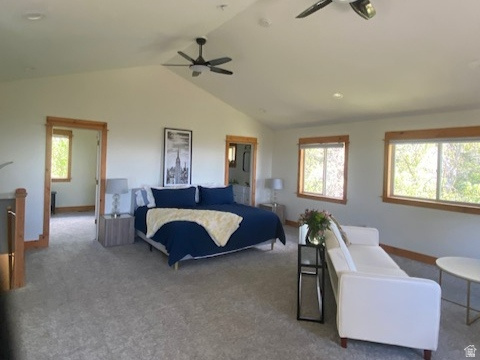 FOREST MEADOW RANCH - Residential