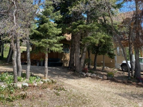 FOREST MEADOW RANCH - Residential