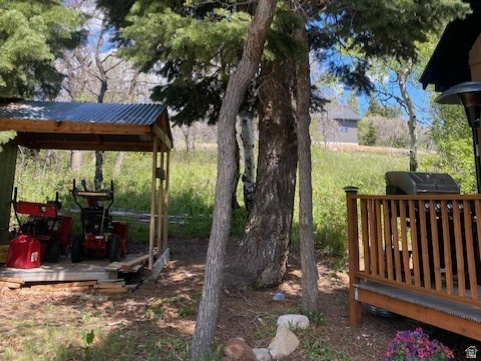 FOREST MEADOW RANCH - Residential
