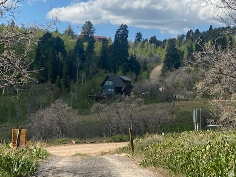 FOREST MEADOW RANCH - Residential