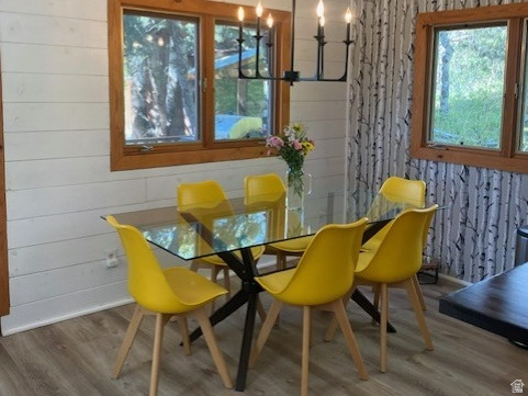 FOREST MEADOW RANCH - Residential