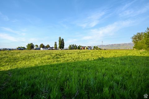 Tiny photo for 545 N 1600 W, Lewiston, UT 84320 (MLS # 2117749)