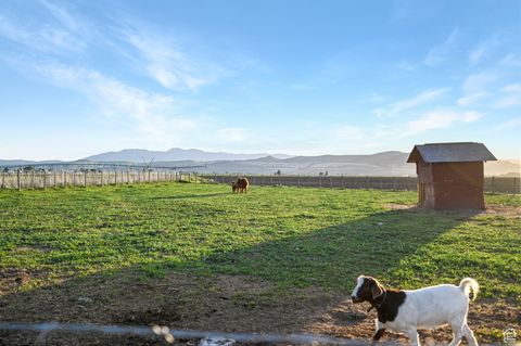 Tiny photo for 545 N 1600 W, Lewiston, UT 84320 (MLS # 2117749)