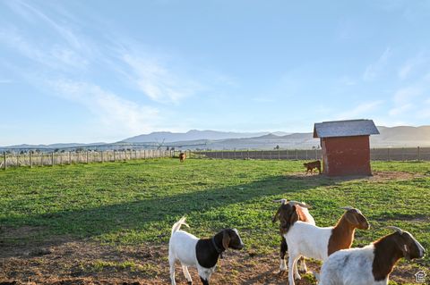 Tiny photo for 545 N 1600 W, Lewiston, UT 84320 (MLS # 2117749)