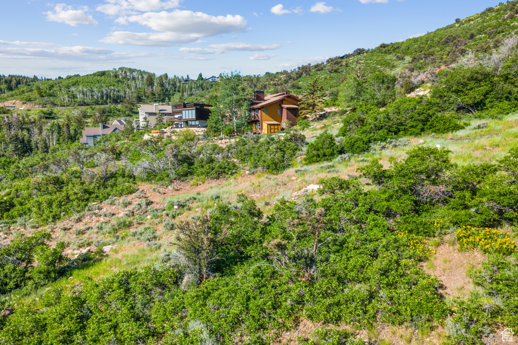 PINEBROOK SUBDIVISION - Land