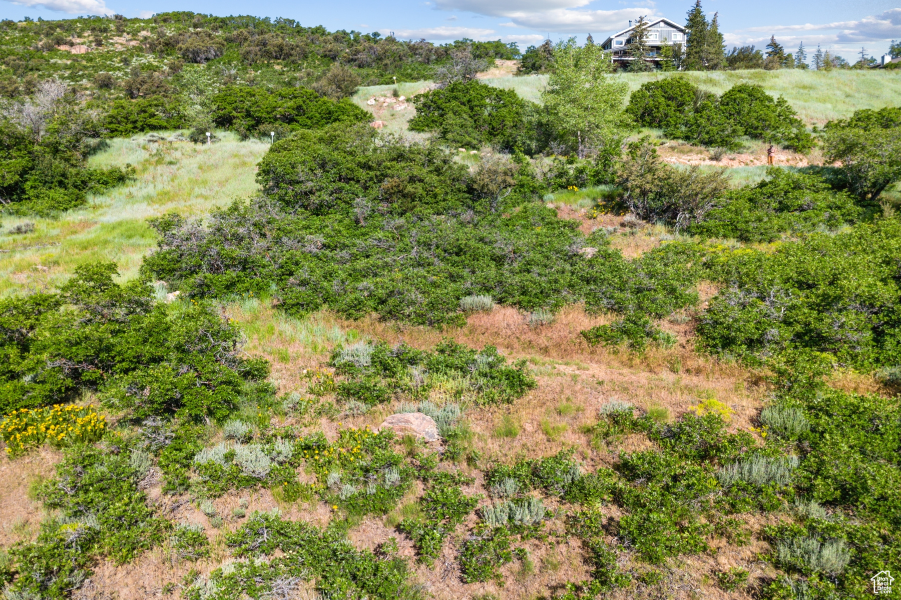 PINEBROOK SUBDIVISION - Land