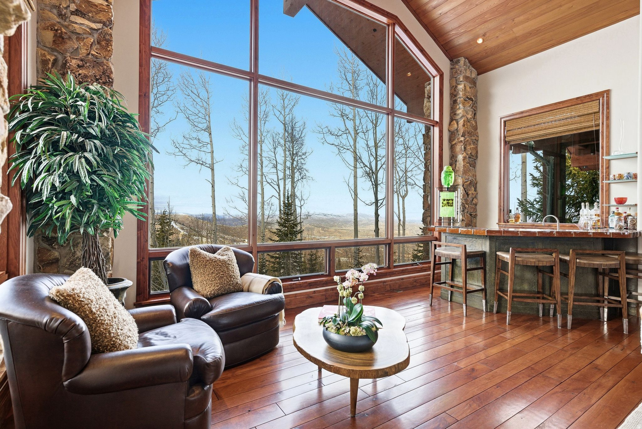 WHITE PINE CANYON PH II FINAL SUBDIVISIO - Residential