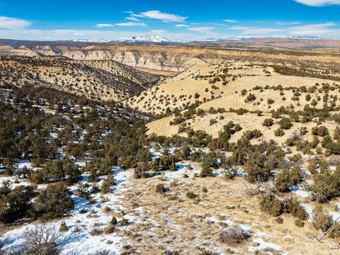 Vacant Land For Sale - #1<br/> Duchesne County, Duchesne, UT 84021