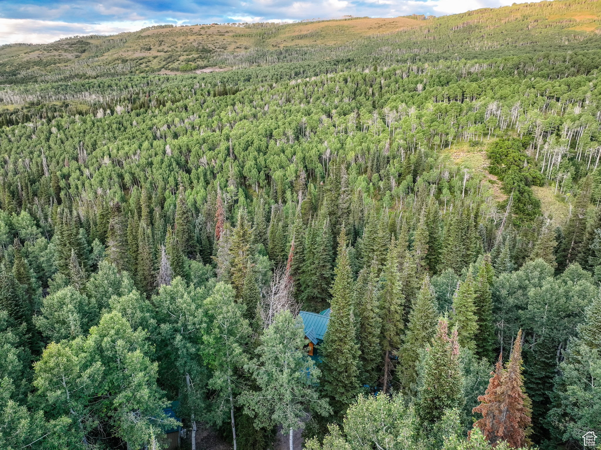 TIMBER LAKES - Residential