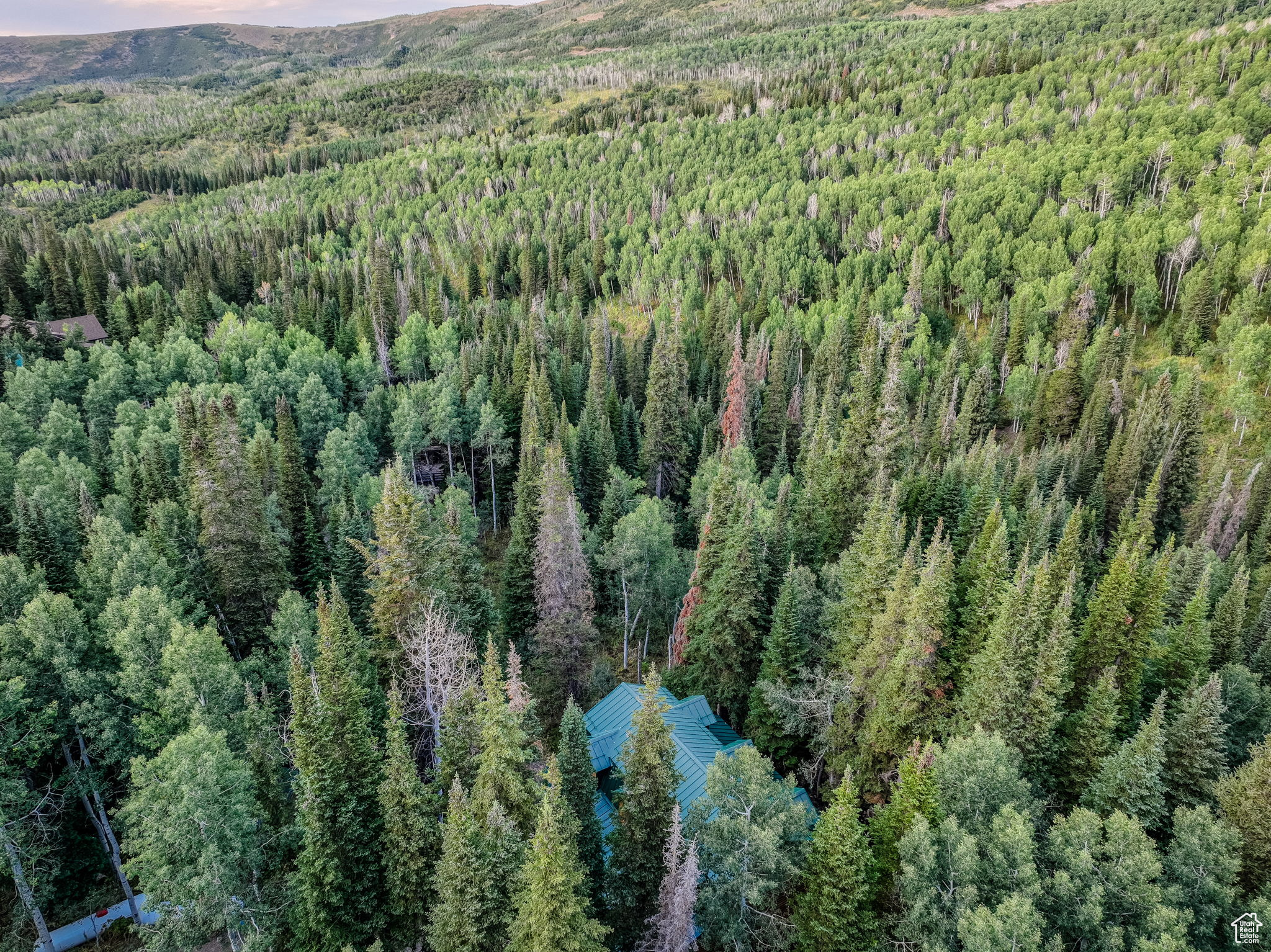 TIMBER LAKES - Residential