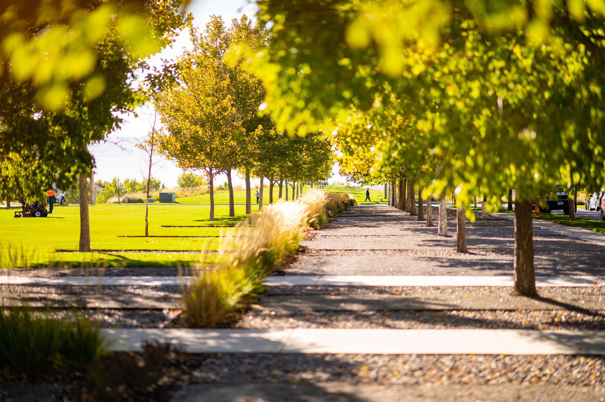 DOWNTOWN DAYBREAK - Residential