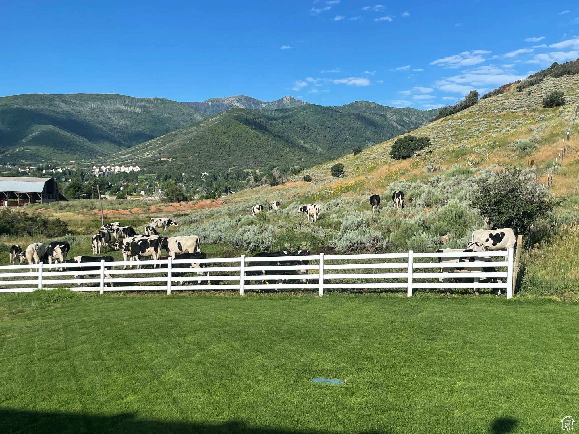 FIELD - Residential