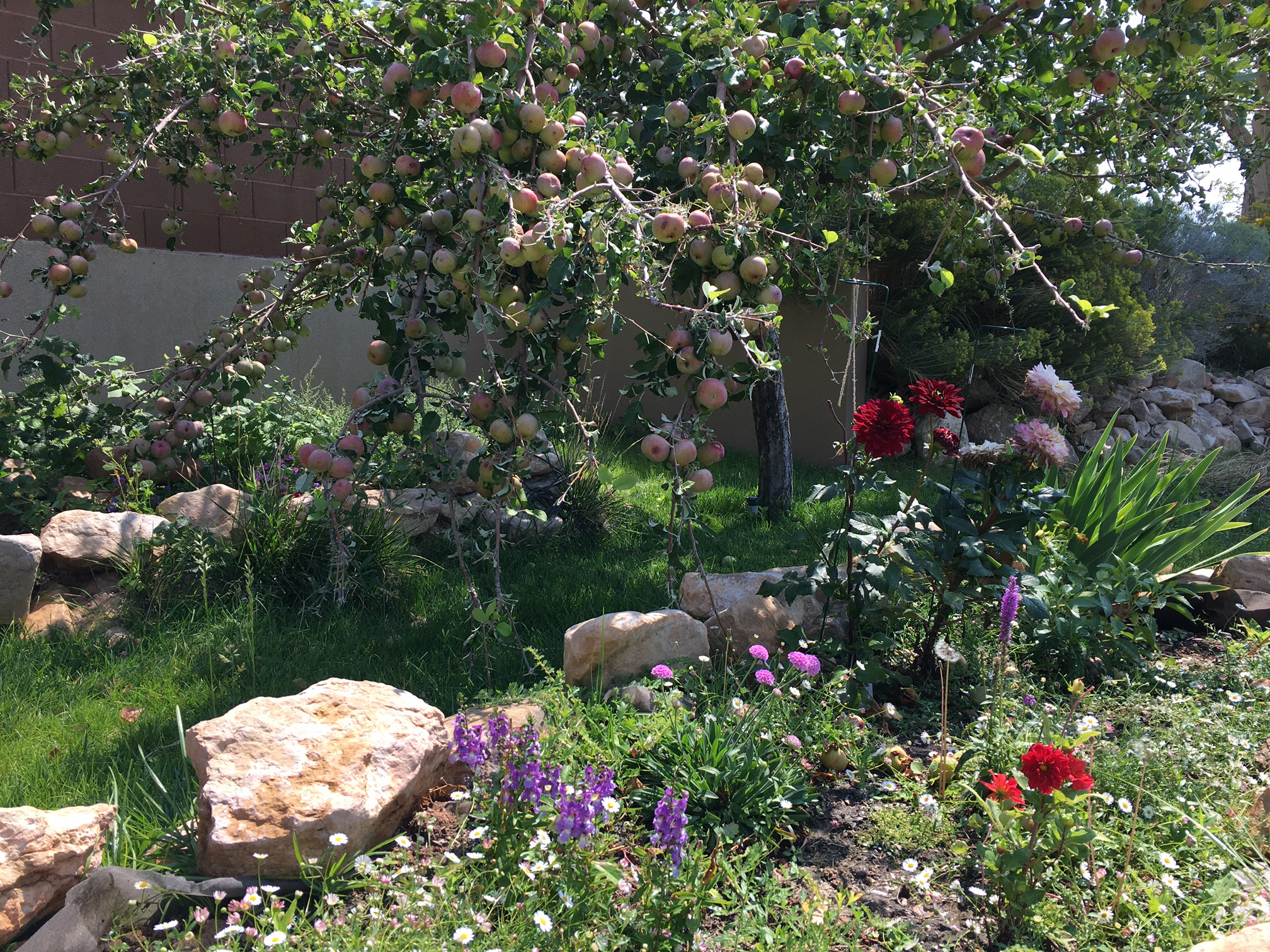 CANYON RIDGE - Residential