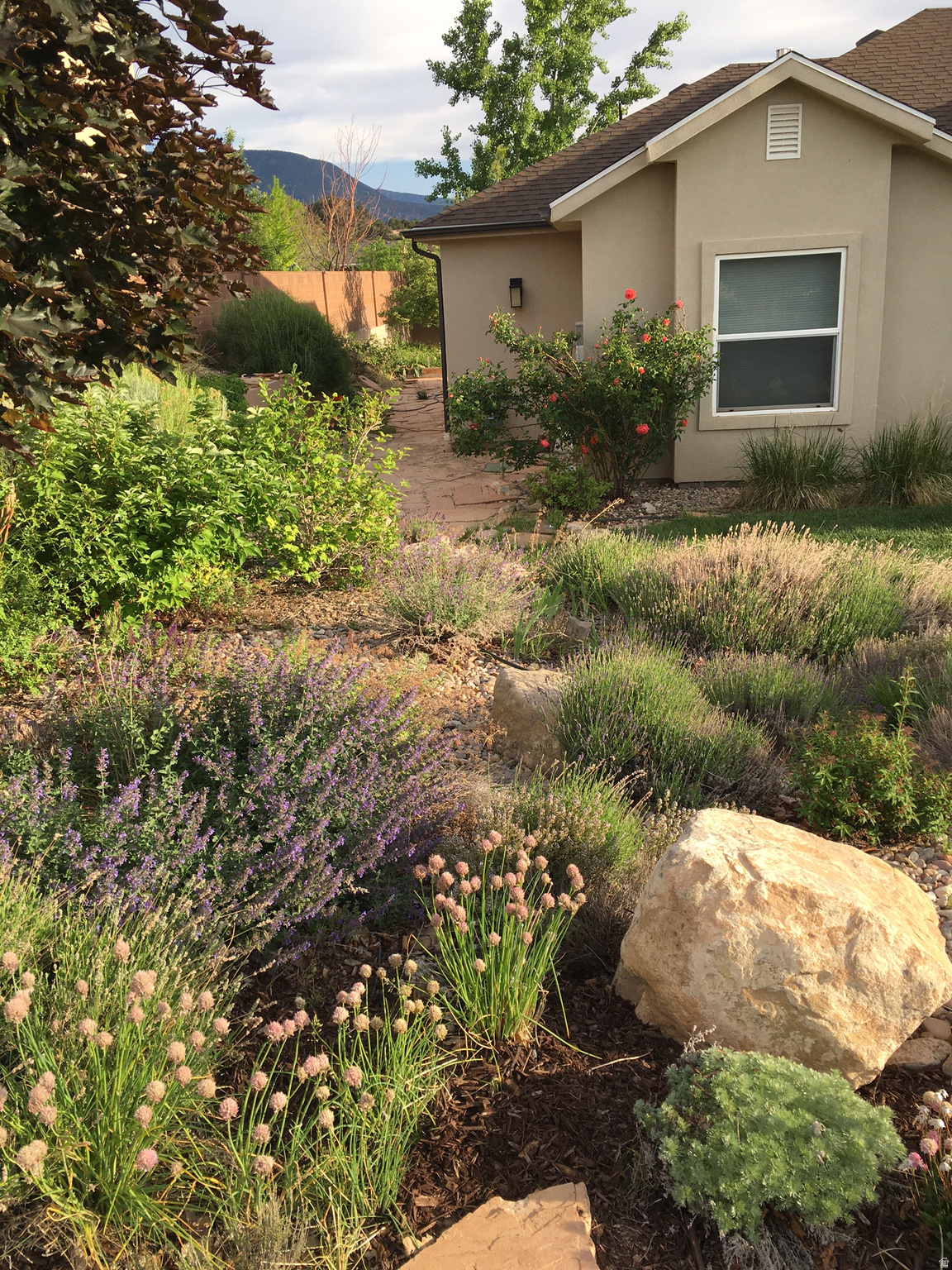 CANYON RIDGE - Residential