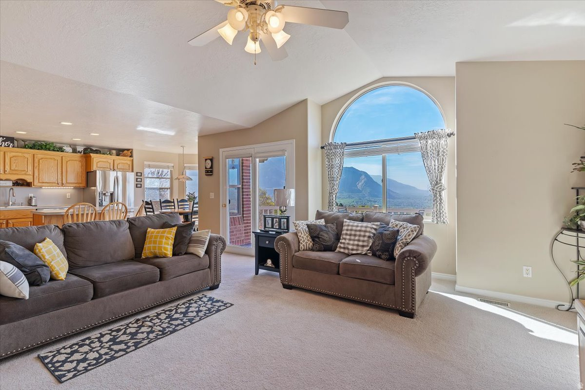 WILLOW SPRINGS - Residential