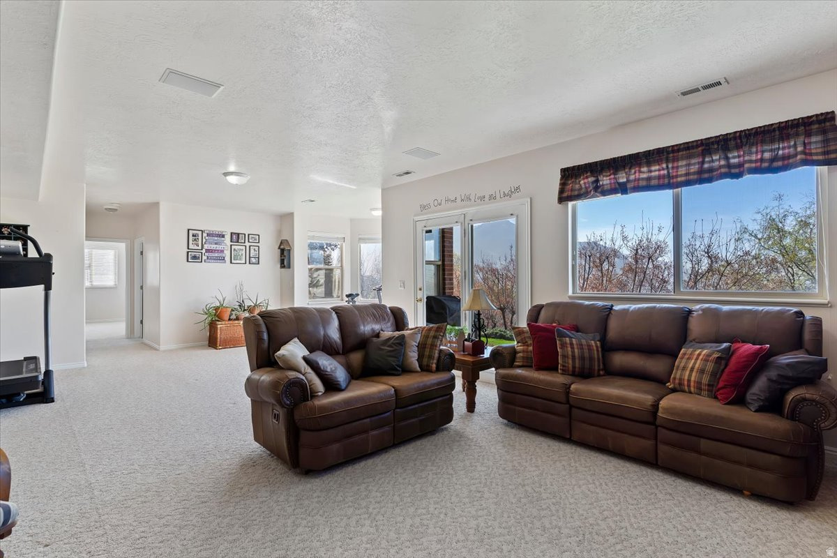 WILLOW SPRINGS - Residential