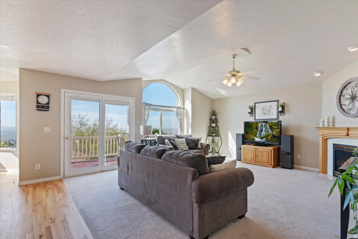 WILLOW SPRINGS - Residential