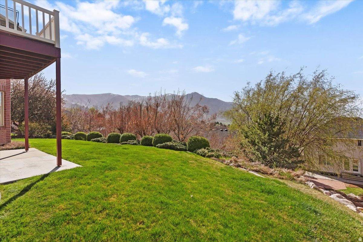 WILLOW SPRINGS - Residential