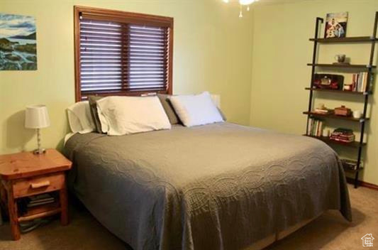 CEDAR VIEW 1ST ADDITION - Residential