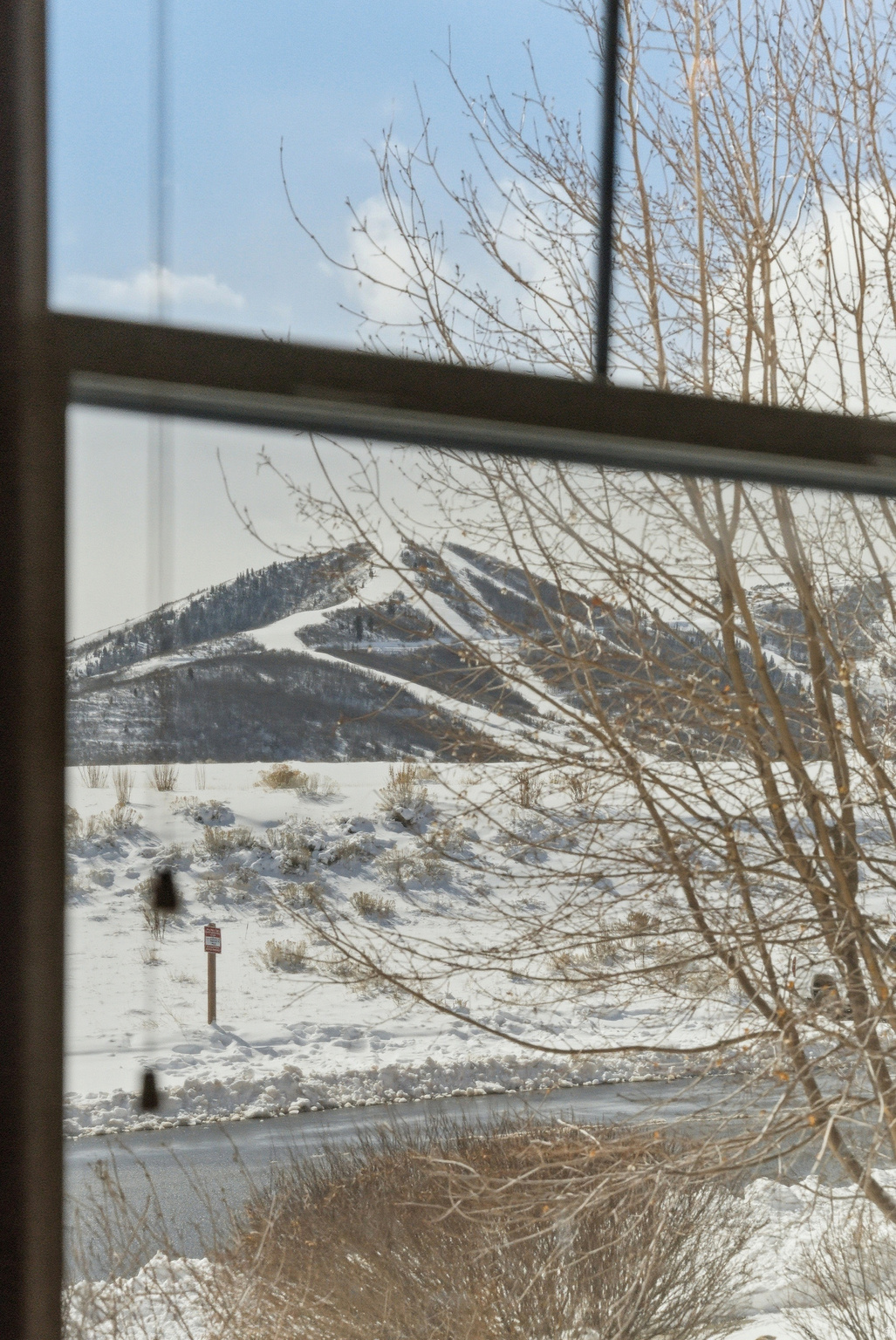 VILLAGE AT THE SHORES - Residential