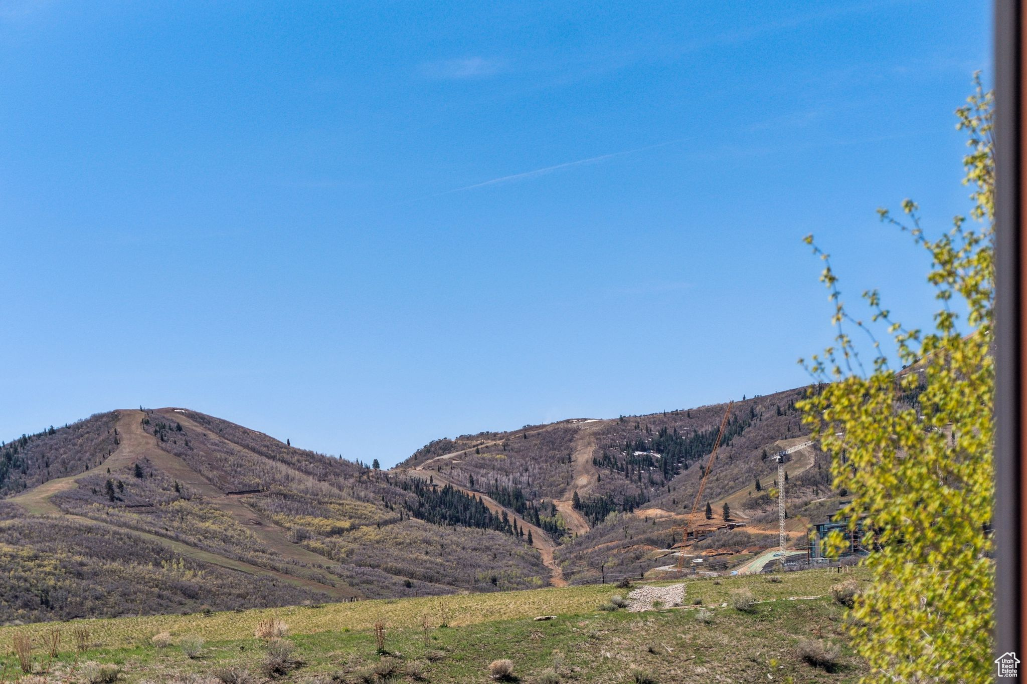 VILLAGE AT THE SHORES - Residential