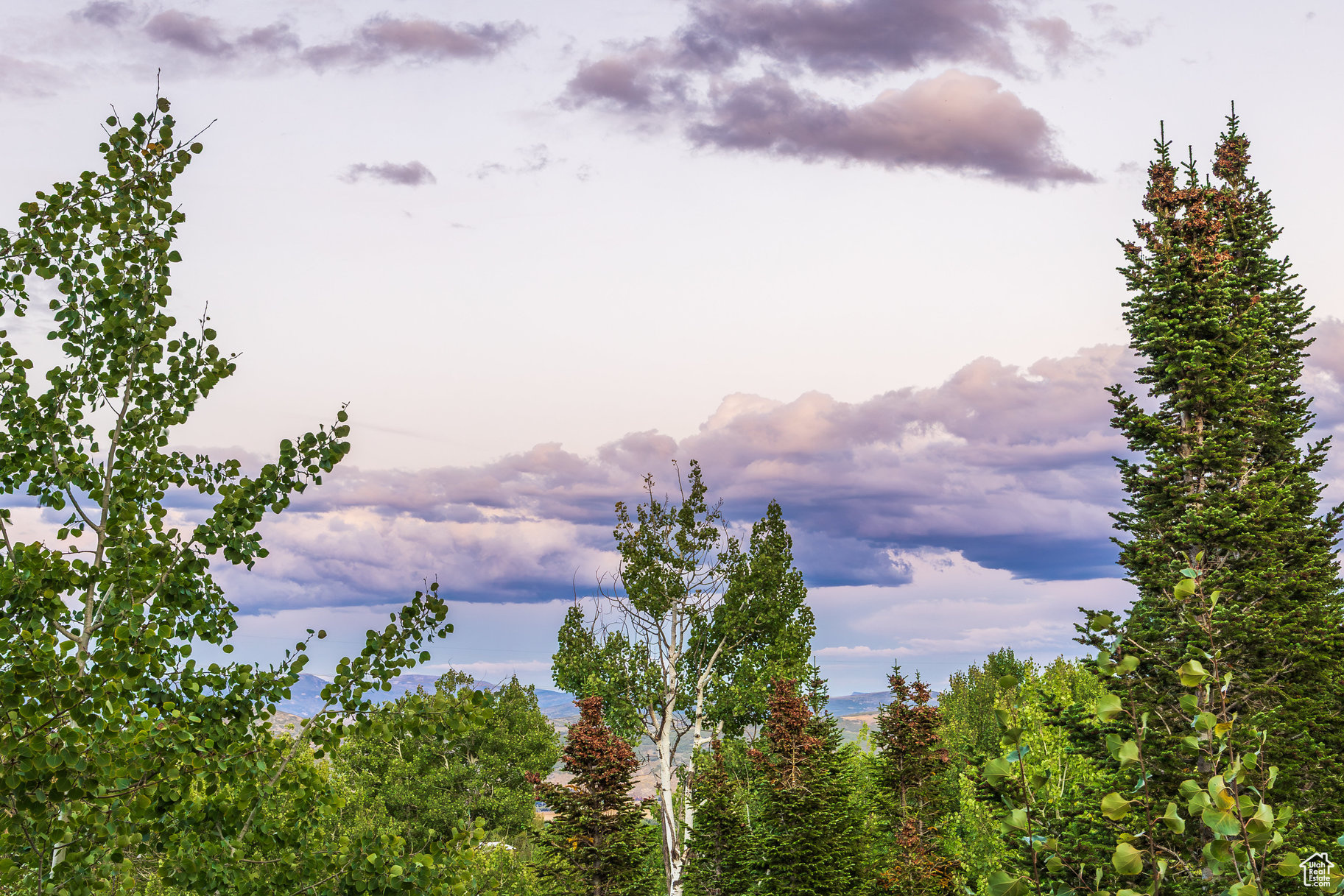 ENCLAVE AT SUN CANYON PUD - Residential
