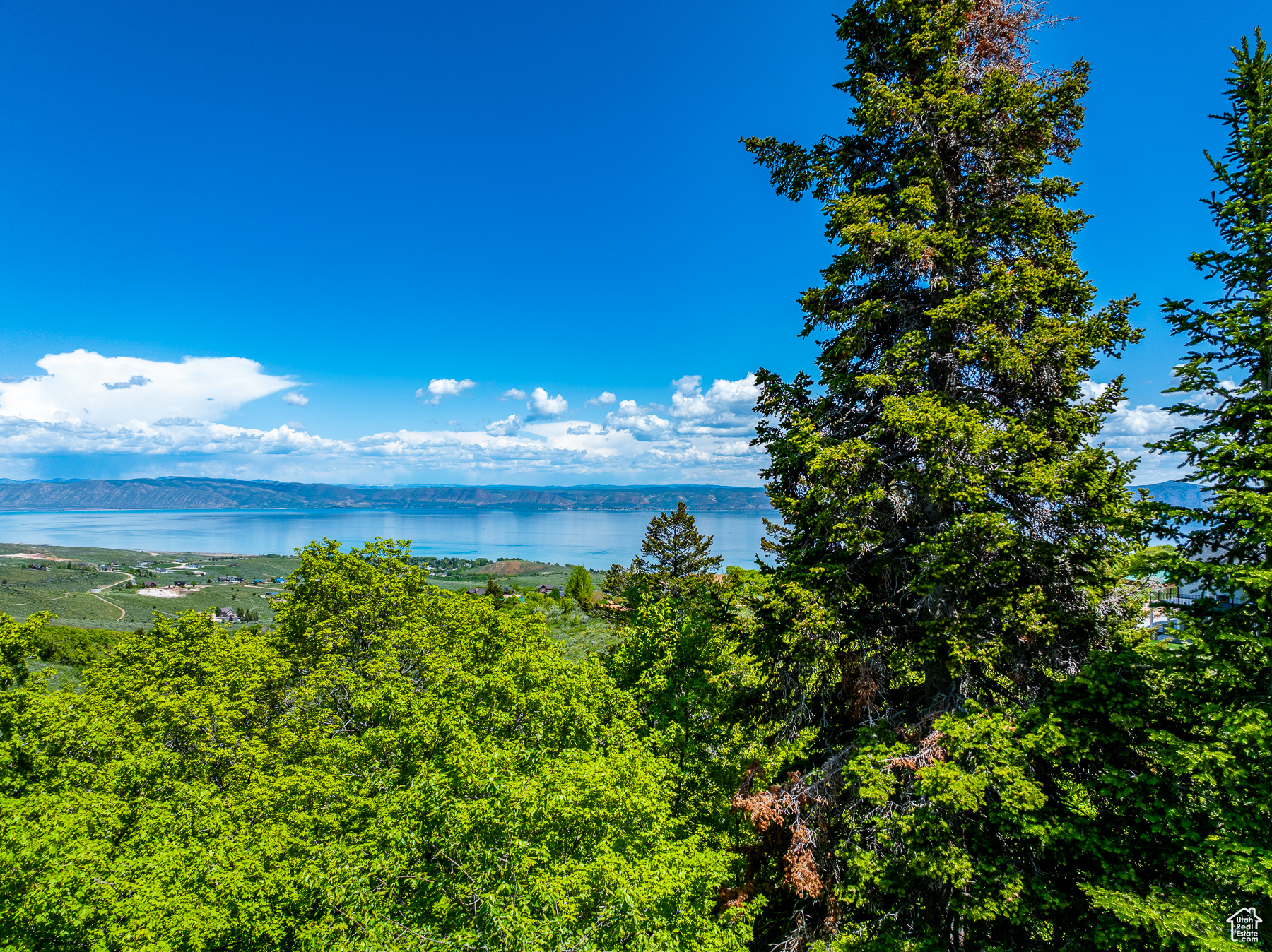 374 Cold Springs Dr, Fish Haven, Idaho image 11